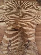 Zebravel, Ophalen of Verzenden, Gedragen