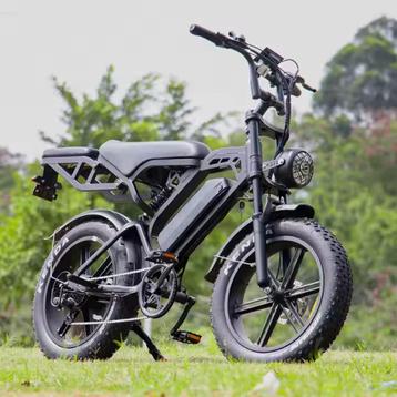 Fatbike V20 Pro /A20– Nu €799 | Gratis Levering & Korting beschikbaar voor biedingen