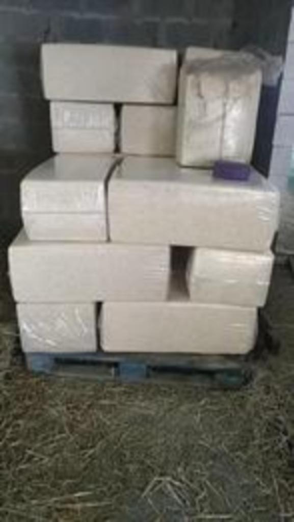 Witte houtkrullen, Dieren en Toebehoren, Overige Dieren, Februari