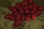 Red garlic dumbels 20mm. Boilie, Autres types, Enlèvement ou Envoi, Neuf
