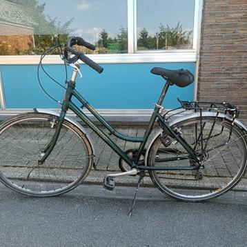 Vélo Thompson. Idéal comme vélo court, sur la route !, Enlèvement