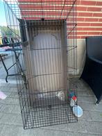 Konijnen / cavia hok te koop, Dieren en Toebehoren, Kooi, Konijn, Ophalen, Minder dan 60 cm