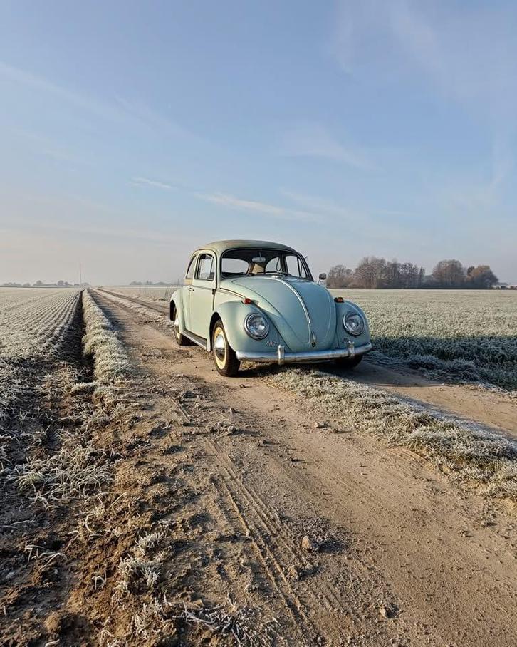 Volkswagen kever 1964, Auto's, Volkswagen, Particulier, Beetle (Kever), Benzine, 2 deurs, Handgeschakeld, Ophalen