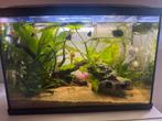 Aquarium GRATIS over te nemen, Ophalen, Zo goed als nieuw