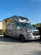 Ford STX horsetruck te Koop, Enlèvement ou Envoi