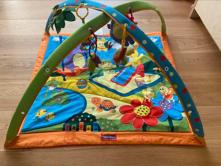 Tiny Love Gymini salle de sport pour bébés, Enfants & Bébés, Jouets | Vêtements de jeu, Comme neuf, Enlèvement ou Envoi