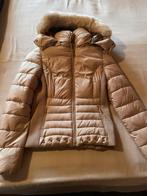 Guess winterjas met dons, Kleding | Dames, Nieuw, Beige, Guess, Maat 36 (S)