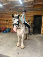 Brave recreatie tinker, Merrie, C pony (1.27m tot 1.37m), Recreatiepony, 7 tot 10 jaar
