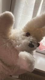 Lapin manipulable, Gebruikt