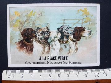 Chromo A la place verte Anvers Antwerpen Hond Honden beschikbaar voor biedingen