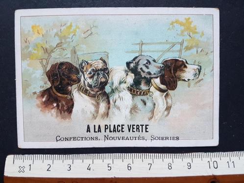 Chromo A la place verte Anvers Antwerpen Hond Honden, Verzamelen, Foto's en Prenten, Zo goed als nieuw, Prent, Dier, Voor 1940