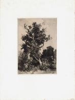 Adolphe Hervier ets op chine collé "Verdord Boslandschap", Antiek en Kunst, Ophalen
