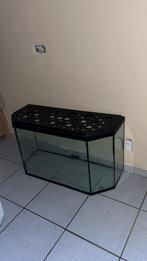 Aquarium transformer en cage pour hamster ou gerbilles, Cage, Hamster