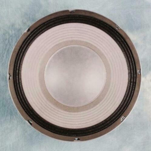 Soundlab 12 inch Bass Speaker 600 Watt 8 Ohm [L042GKJ], Audio, Tv en Foto, Luidsprekerboxen, Nieuw, Overige typen, 120 watt of meer