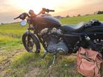 Harley davidson, Motoren, Cardan-aandrijving, 2 cilinders, Particulier, Meer dan 35 kW