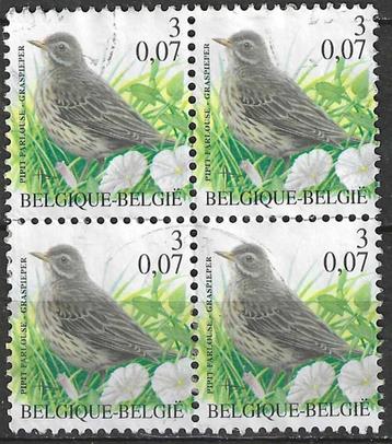 Belgie 2000 - Yvert 2919 /OBP 2920 - Buzin - Graspieper (ST) beschikbaar voor biedingen