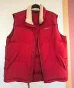 Tommy Hilfiger dons bodywarmer maat L, Ophalen of Verzenden, Zo goed als nieuw, Maat 42/44 (L)