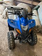 Masai (Dinli) 100cc, Motoren, Quads en Trikes
