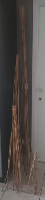 Bâtonnets de bambou personnalisés d'une longueur maximale de, Autres types, Enlèvement ou Envoi, Neuf