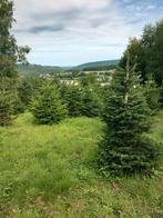 Kerstbomen te koop, Tuin en Terras, Ophalen of Verzenden