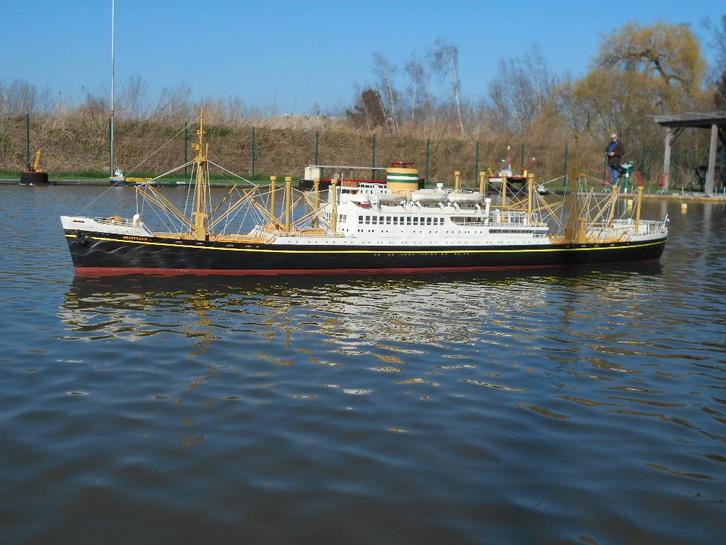 Westerdam, Hobby & Loisirs créatifs, Modélisme | Bateaux & Navires, Neuf, Enlèvement
