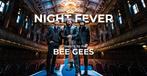 1 ticket voor Night Fever: A Tribute to The Bee Gees, Eén persoon, Februari