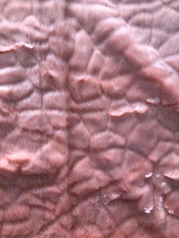 Mooi stuk Nepbont poeder roze  beschikbaar voor biedingen