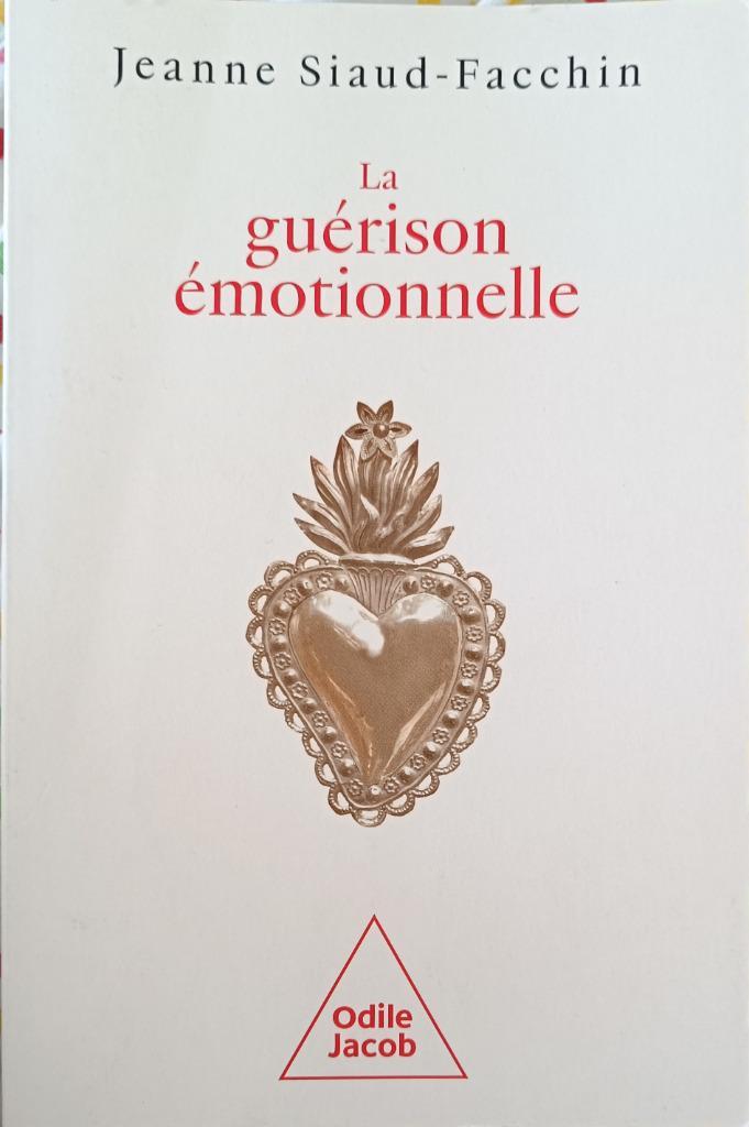 La guérison émotionnelle :Jeanne Siaud-Facchin :GRAND FORMAT, Boeken, Psychologie, Gelezen, Ontwikkelingspsychologie, Ophalen of Verzenden