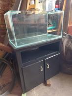 Terrarium met kast, Dieren en Toebehoren, Ophalen, Gebruikt, Terrarium of Paludarium