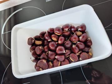 Verse bio kastanjes (1kg) beschikbaar voor biedingen