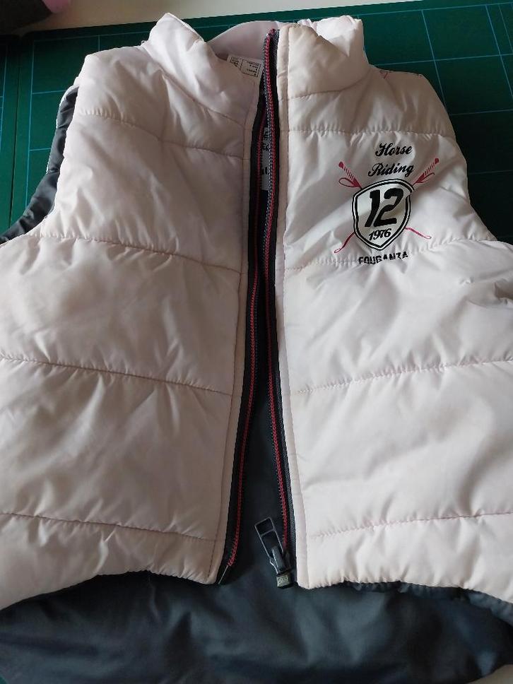 Veste rose sans manches à capuche, Kinderen en Baby's, Kinderkleding | Maat 128, Gebruikt, Meisje, Trui of Vest, Ophalen