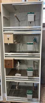 Kweektoren, Ophalen of Verzenden, Gebruikt, Overige materialen, Broedkooi of Kweekkooi