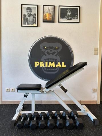 Verstelbare krachtbank + dumbell sets (3,5,7,9kg), Enlèvement, Utilisé, Haltère