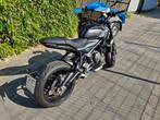 Triumph Trident 660 big badge black, Motoren, Particulier