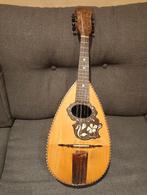 Mandoline napolitaine de concert, Musique & Instruments, Instruments à corde | Autre, Enlèvement ou Envoi, Utilisé, Autres types