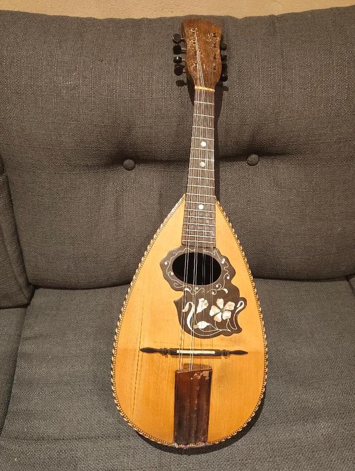 Napolitaanse concertmandoline, Muziek en Instrumenten, Snaarinstrumenten | Overige, Gebruikt, Overige typen, Ophalen of Verzenden