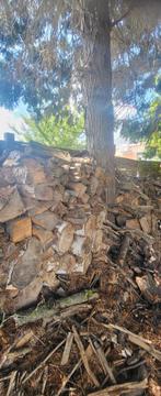 Brandhout te koop - gemengd hout - niet allemaal droog, Tuin en Terras, Brandhout, Ophalen, Blokken
