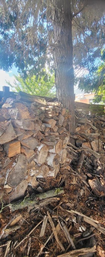 Brandhout te koop - gemengd hout - niet allemaal droog, Tuin en Terras, Brandhout, Blokken, Ophalen