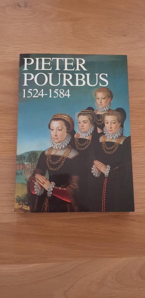 Catalogus Pieter Pourbus Meester schilder 1524-1584, Boeken, Kunst en Cultuur | Beeldend, Zo goed als nieuw, Schilder- en Tekenkunst