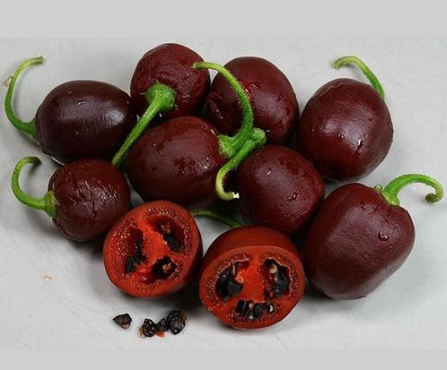 Peperzaden MINI ROCOTO BROWN (20 stuks), Tuin en Terras, Bloembollen en Zaden, Zaad, Voorjaar, Volle zon, Verzenden