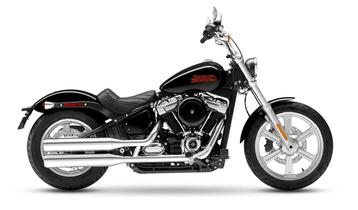 Harley-Davidson FXST Softail Standard (bj 2022)