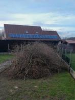 Boomtakken voor te hakselen of te gebruiken als brandhout, Ophalen