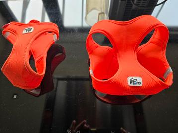 Hondentuigjes maat Small en medium beschikbaar voor biedingen