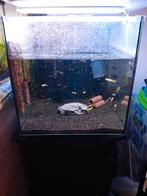 Aquarium à vendre, Enlèvement