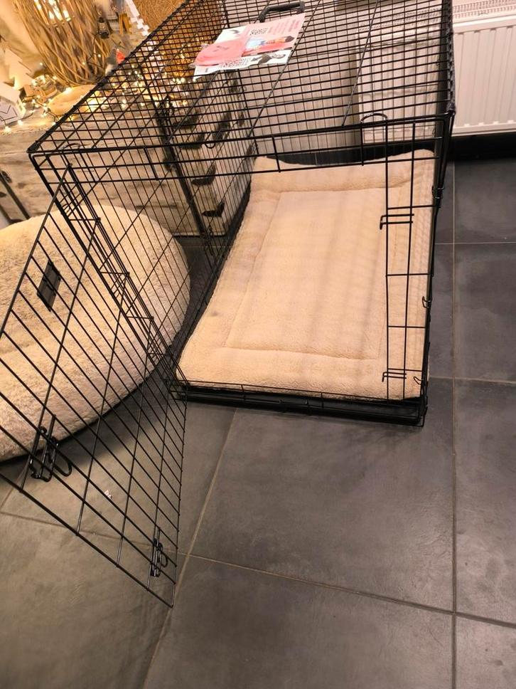 Plooibare XXL hondenbench met 2 deuren SPLINTERNIEUW, Dieren en Toebehoren, Hondenbenches, Nieuw, Ophalen