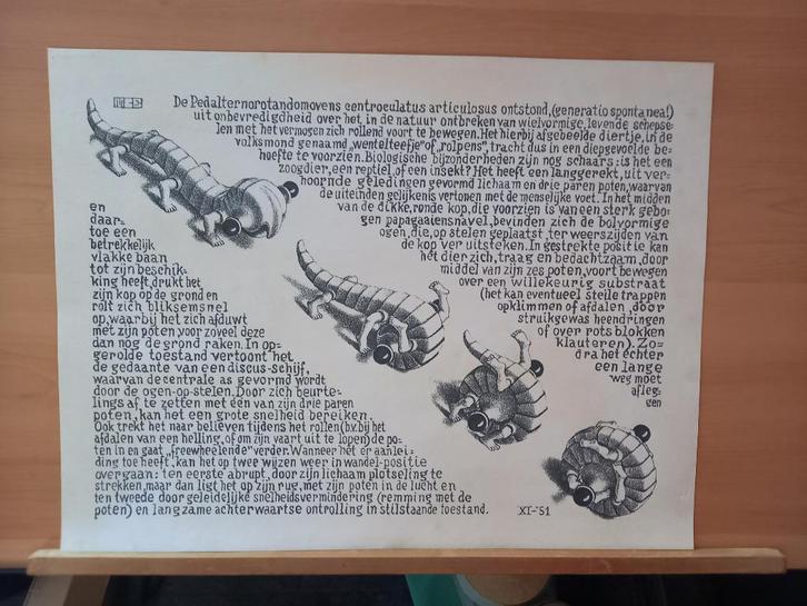 M.C. Escher - litho - Wentelteefje (after), Antiek en Kunst, Kunst | Litho's en Zeefdrukken, Verzenden
