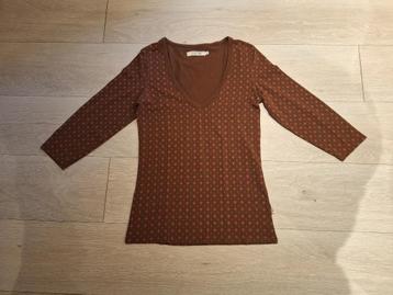 T-shirt met 3/4-mouwen, merk Sissy-Boy, maat M, bruin  beschikbaar voor biedingen