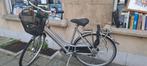 Damesfiets GIANT, Ophalen, Giant, Versnellingen