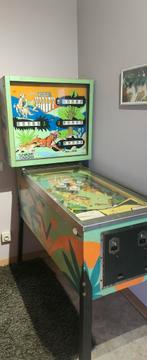 flipper vintage, Collections, Machines | Flipper (jeu), Enlèvement, Utilisé, Autres types, Flipper (jeu)