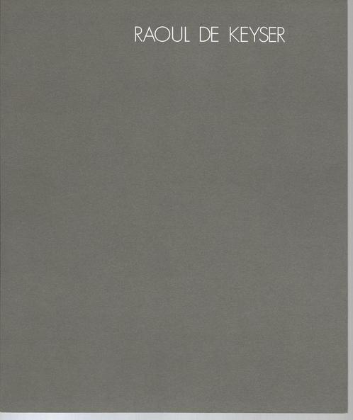 Raoul De Keyser 1990, Boeken, Kunst en Cultuur | Beeldend, Gelezen, Ophalen of Verzenden